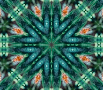 Background abstract flame mandala flower colorful Illustrazione stock
