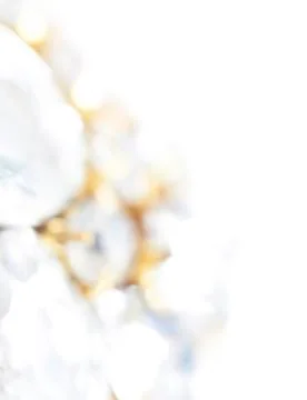 Background of abstract glittering lights. Stock Photos