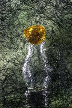 Background of abstract interwoven plastic thread against a backdrop Stock Photos