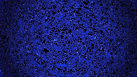 Background abstract loop blue colored 4K 25p distorted lines Scale 12 Stock Footage 280071618