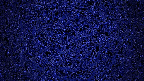 Background abstract loop blue colored 4K 30p distorted lines Scale 12 Stock Footage 283493941