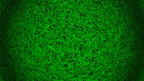 Background abstract loop green colored 4K 25p distorted lines Scale 24 Stock Footage 280138405