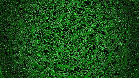 Background abstract loop green colored 4K 30p distorted lines Scale 12 Stock Footage 283493955