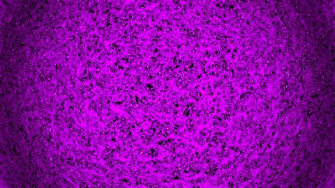 Background abstract loop purple magenta colored 4K 25p distorted lines Scale 24 Stock-Footage 280138412