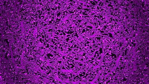 Background abstract loop purple magenta colored 4K 30p distorted lines Scale 12 Stock Footage 283493944