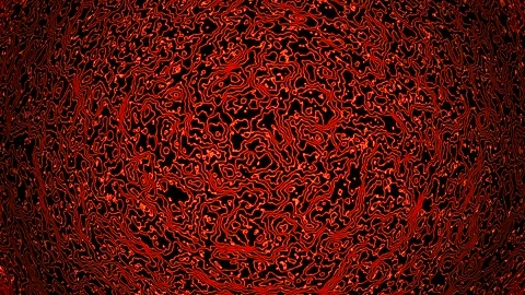 Background abstract loop red colored 4K 25p distorted lines Scale 12 Stock Footage 280071655
