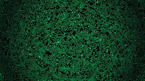 Background abstract loop turquoise colored 4K 25p distorted lines Scale 12 Stock Footage 280071656