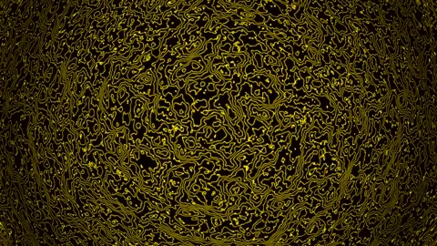 Background abstract loop yellow colored 4K 25p distorted lines Scale 12 Stock-Footage 280071657