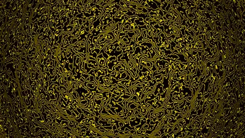 Background abstract loop yellow colored 4K 30p distorted lines Scale 12 Stock Footage 283493965