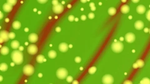 Background Abstract Seamless Loop. Geometric Texture Pattern Intro or Outro Stock Footage 282549452