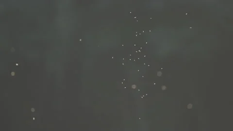 Background of abstract shapes Stock Footage 138484230