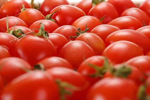 Background abstract tomato pattern. Stock Photos