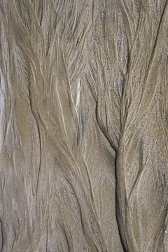 Background of abstract tree formations in the sand of a beach Stock Photos