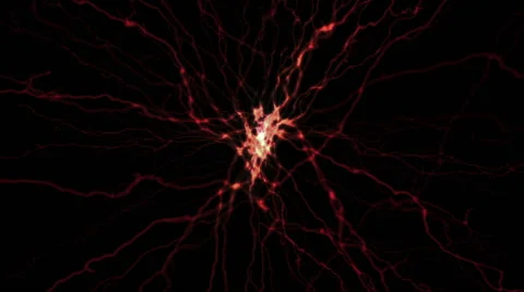 Background. Abstraction. Heart. Stock Footage 40624581