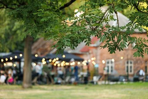 Background activities with focus on the tree in the foreground Stock Photos