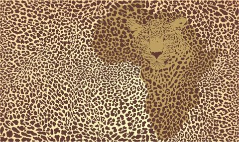 Background of the African jaguar イラスト素材