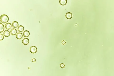 Background air bubbles Stock Photos