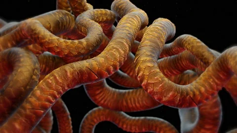 Background with alien microscopic worms, abstract 3d animation Stock Footage 230602373