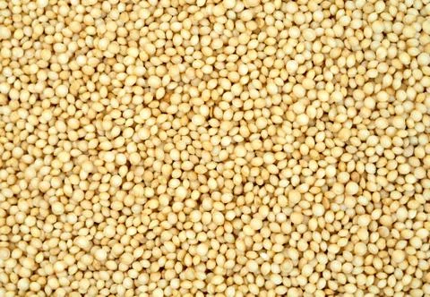 Background of amaranth seeds Stock Photos