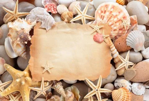 Background of  ancient blank paper, shells and starfishes. Stock Photos