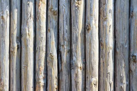 Background of ancient fence from trunks of trees Stock Photos