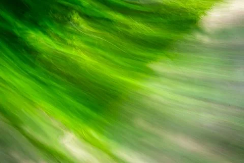 Background and abstract gradient green colors in different shades, rays, line Stock Photos