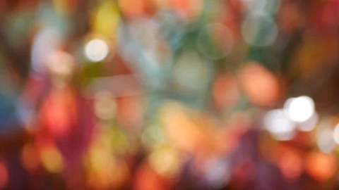 Background and bokeh Stock Footage 104244721