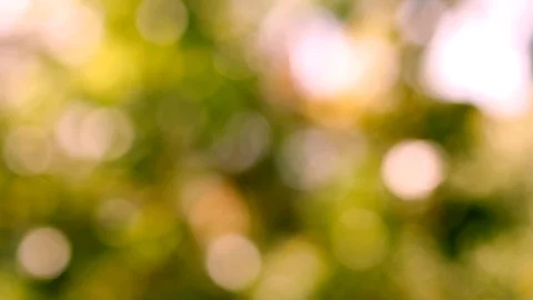 Background and bokeh Vídeos de archivo 104281091