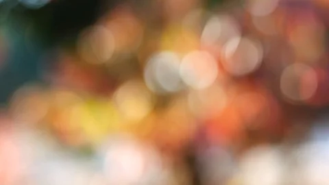Background and bokeh13 Stock Footage 104402983