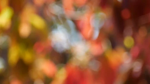 Background and bokeh3 Stock Footage 104323588