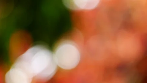 Background and bokeh4 Stock Footage 104244740