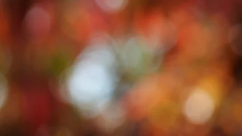 Background and bokeh4 Stock Footage 104323595