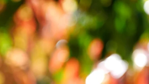 Background and bokeh5 Stock Footage 104244741