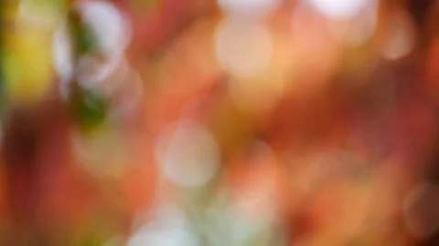 Background and bokeh6 Stock Footage 104324844