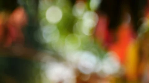 Background and bokeh8 Stock Footage 104325478
