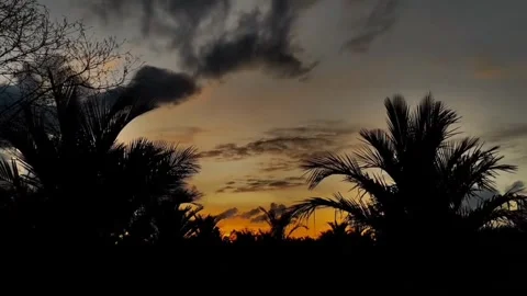 Background and sunset Video stock 245193621