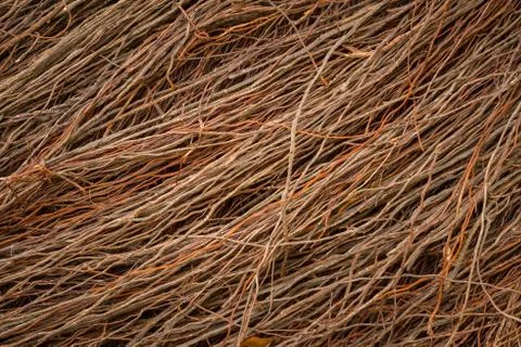 Background and texture beautiful root of Banyan tree for  decoration wall Stock Photos