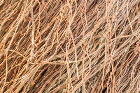 Background and texture beautiful root of Banyan tree for  decoration wall Stock Photos