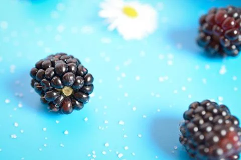 Background and texture blackberries Stock Photos