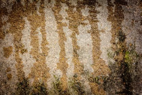 Background and texture cement floor with trace of water Stock-Fotos