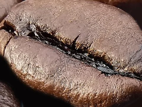 Background and texture, closeup coffee bean. Фото