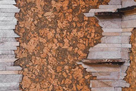 Background and Texture of Cork Board Wood Surface and stone tiles, Nature Stock Photos