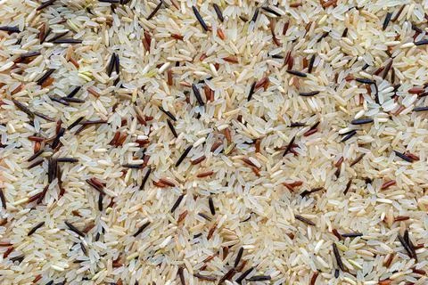 Background and texture from dried seed of rice Stock Photos
