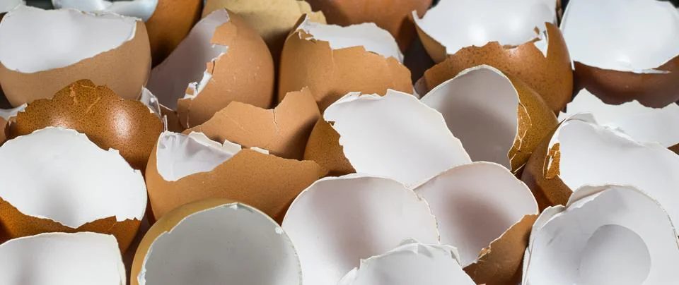 Background and texture of eggshells. Foto stock