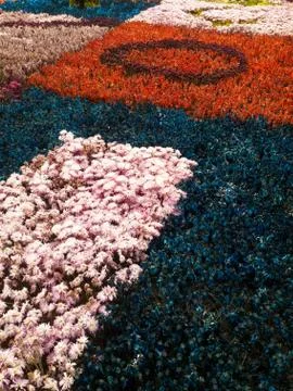 Background and texture of flowers attached to a fabric to make a typical silleta Stock Photos