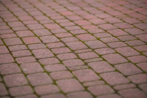 Background and texture of light brown stone paving slabs Stock Photos