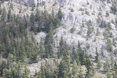 Background and texture of mountain layers, rocks, cracks, sedimentary rocks.. Stock Photos