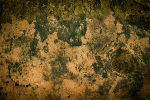 Background and texture of old foam Stock Photos