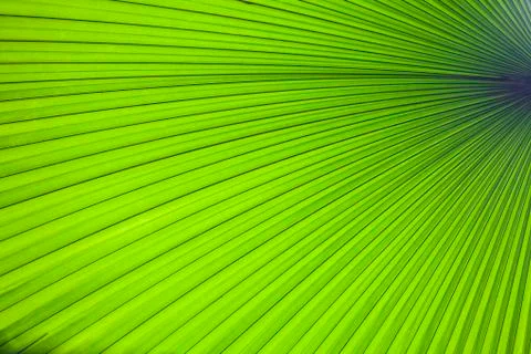 Background and texture Stock Photos