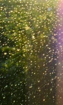 Background and texture Stock Photos